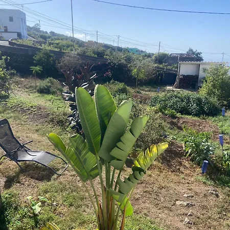 Eco Vista Mar Y Teide Mit Tropischem Garten Appartement *