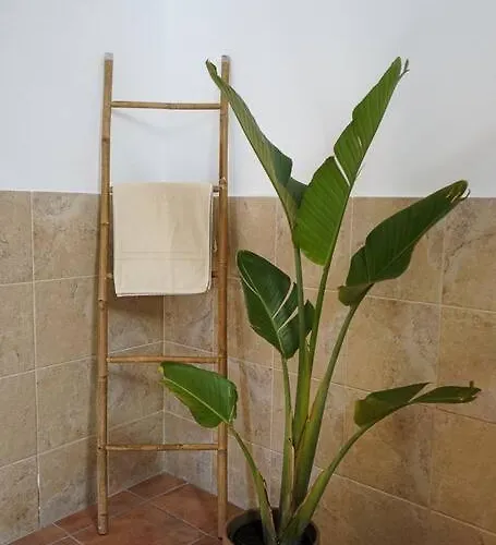 Apartament Eco Vista Mar Y Teide *
