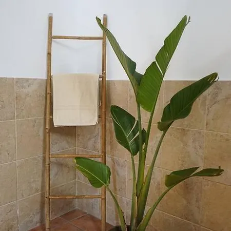 Apartamento Eco Vista Mar Y Teide *