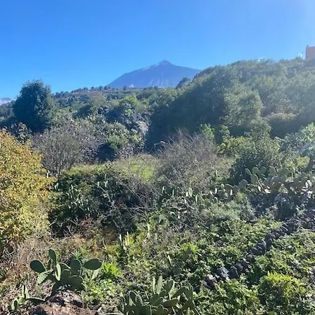 Apartamento Eco Vista Mar Y Teide Icod De Los Vinos